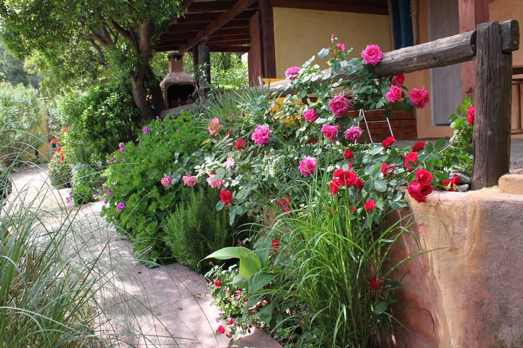 Les Bungalows De Figha Tarcu Luaran gambar
